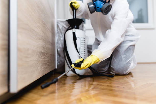 Best Emergency Pest Control  in Evadale, TX