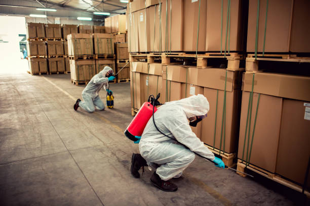 Best Termite Control Services  in Evadale, TX