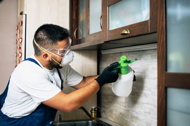 Insect Control in Evadale, TX