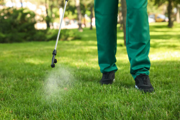 Best Pest Prevention Services  in Evadale, TX