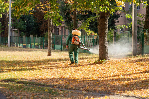 Pest Prevention Services in Evadale, TX