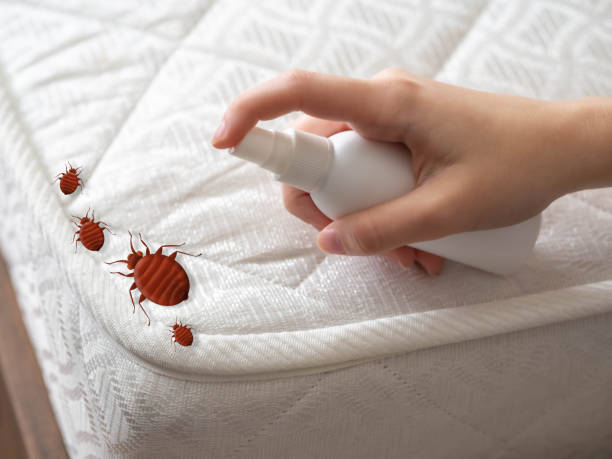 Best Pest Control for Homes  in Evadale, TX