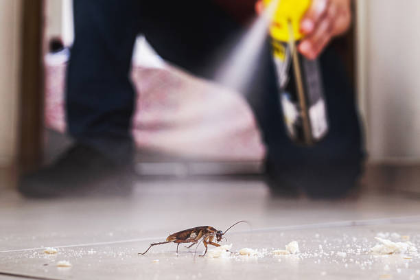 Best Pest Prevention Services  in Evadale, TX
