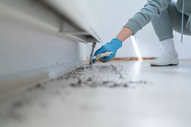 Best Bed Bug Extermination  in Evadale, TX