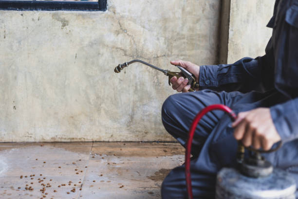 Best Pest Inspection Near Me  in Evadale, TX