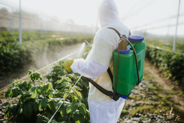 Best Pest Removal Services  in Evadale, TX